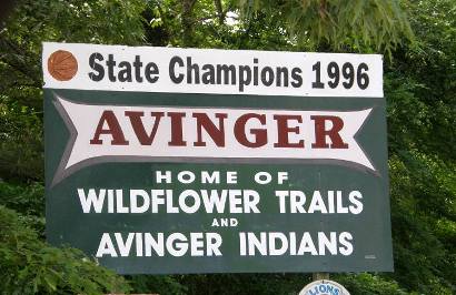 Avinger Tx welcome sign