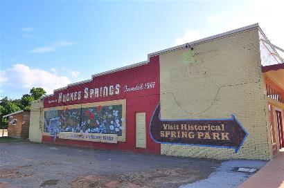 Hughes Springs TX Mural Wildflower Trail