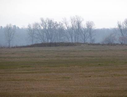 Kiomatia Texas Faskin Mound