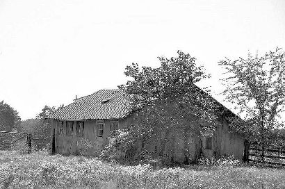 Marshall Springs TX - Old Building