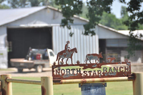Pine Springs TX - ranch cowboy silhouette