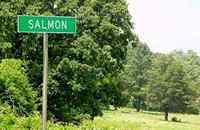 Salmon Texas Sign