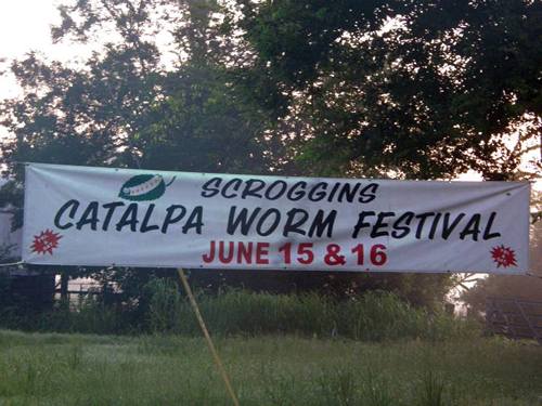 Scroggins TX Catalpa Worm Festival 