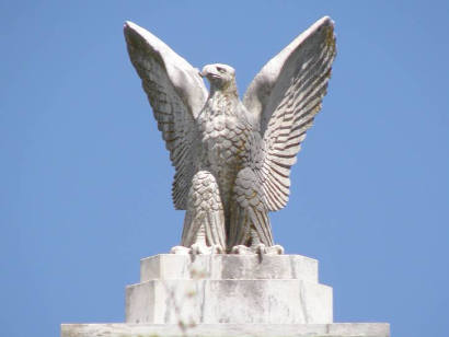 Texarkana - WWI Memorial Eagle
