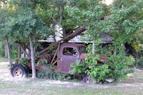 Winnsboro Tx rusted truck