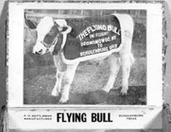 Schulenburg Texas Flying Bull