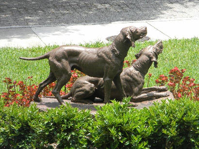 Tampa Florida - bronze dog statue
