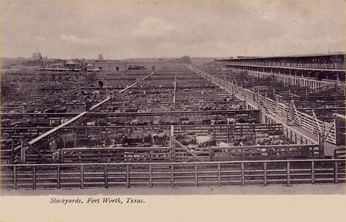 Ft Worth Stockyards 1907 Texas old postcard 