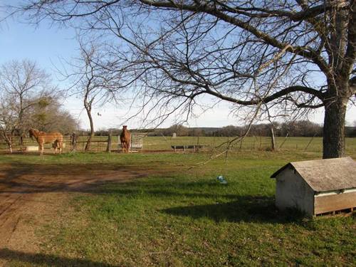 Sit of Fort Gates, Coryell CountyT x