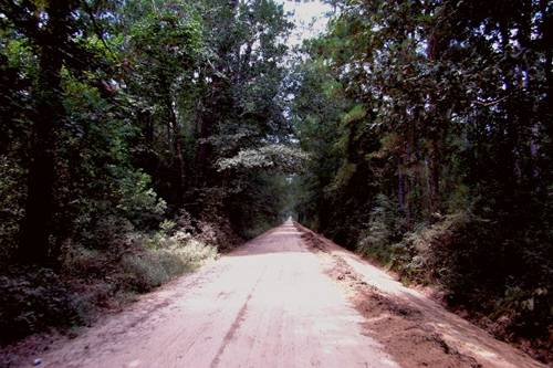 Hardin County ghost road, east Texas
