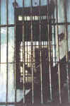 Gonzales jail bars