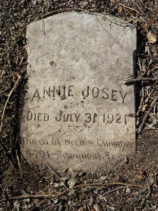 Houston TX - Olivewood Cemetery Annie Josey Tombstone
