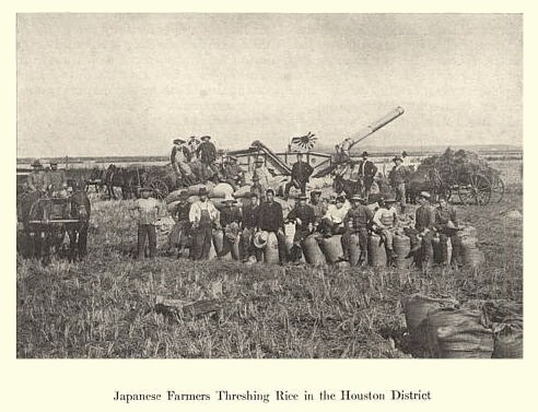 Houston TX - Japanese farmers threshing rice
