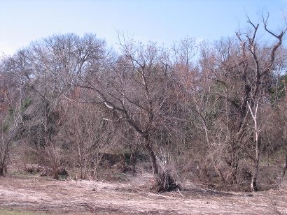 Site of Battle Of Salado Creek today