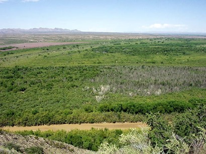 Looking NW Across Rio Grande From Confederate Battle Line At Valverde