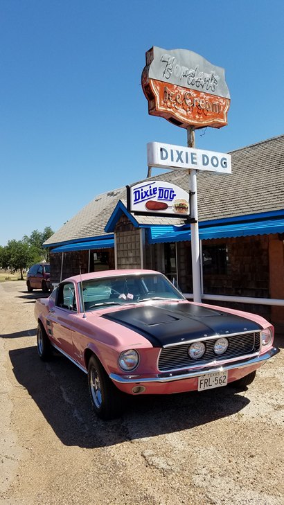 Spur TX Dixie Dog Borden's Ice Cream Neon Sign 