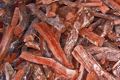La Joya TX Felix BBQ Mesquite Wood Pile