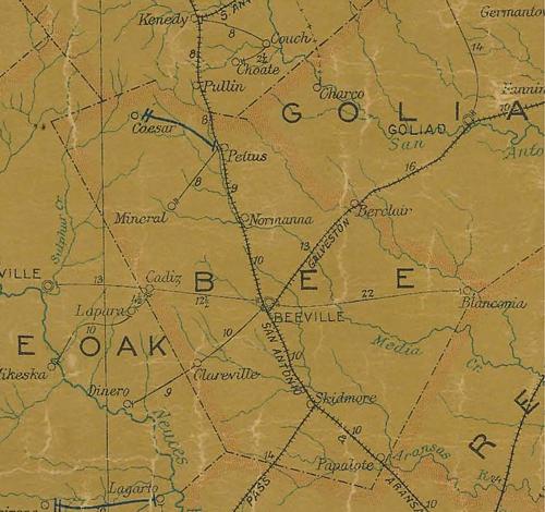 Bee County TX 1907 postal map