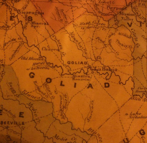 TX Goliad County 1867 Map