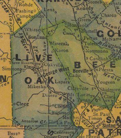 Live Oak County TX map