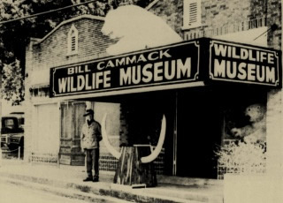 Johnson City TX - Bill Cammack Wildlife Museum 1972