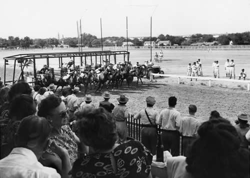 Texas Baseball team watching horse races at Gillespie County Fair