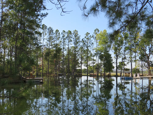 Fredericksburg TX - Pine forest and lake in the Hill Country