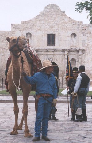 Texas Camel Corp reenactment