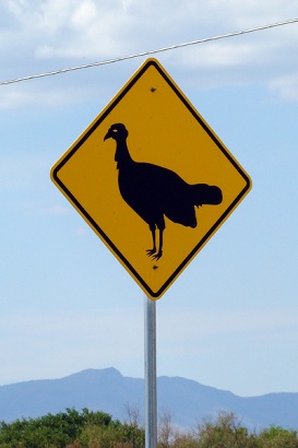 Balmorhea TX - Turkey Crossing Sign