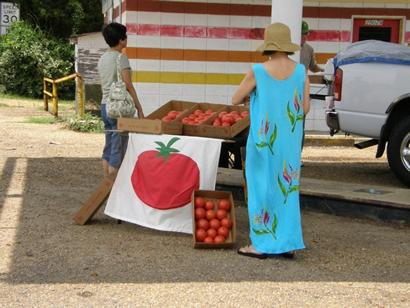 MS Crystal Springs - Summer tomato stand