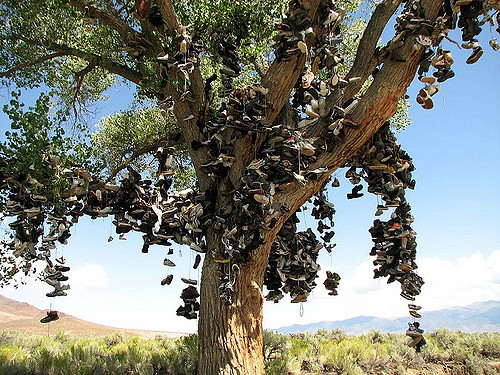 Nevada Shoe Tree
