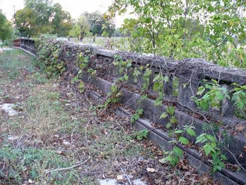 Berg's Mill Bridge overgrown with vegetation, Bexar County Texas
