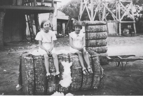 DeWees TX - Girls on bales of cotton