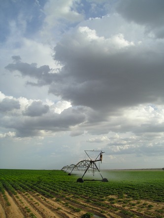 Fairview Texas irrigation