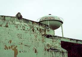 Premont Texas Water tower