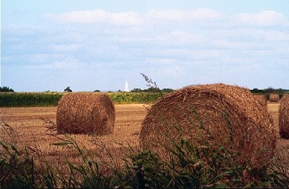 Hay with church steeple in distance, St. Hedwig, Texas
