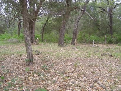 Schroeder TX  - Mistletoe Cemetery  scene
