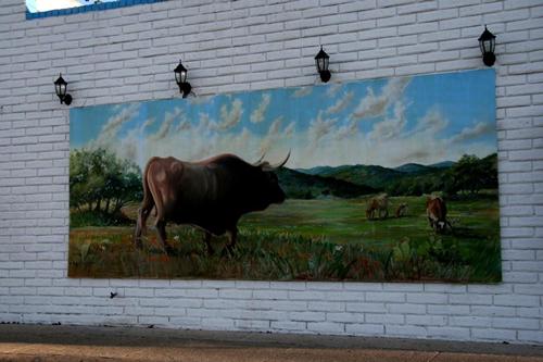 Universal City Texas mural