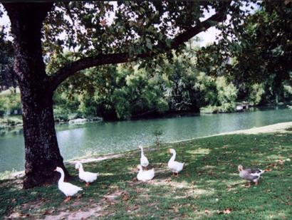 Cibolo Creek Park, Boerne, Texas