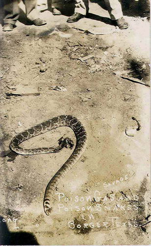 Borger TX - Poison Gas and Poison Snakes