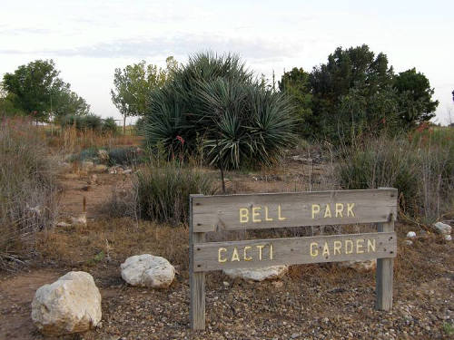 Hale Center Tx - Bell Park Cacti Garden