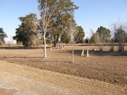 Halletsville TX - Old County Farm Cemetery 