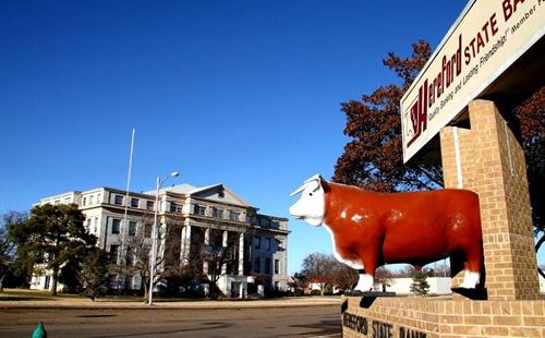 Hereford Cow sign, and Deaf Smith County courthouse,  Hereford Texas
