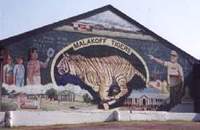 Texas tiger mural
