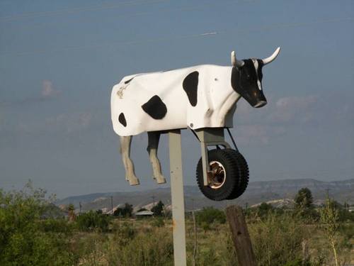 Automatic cow , Marathon, West Texas