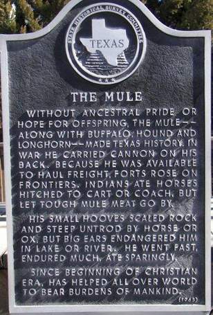 Muleshoe Texas mule historical marker