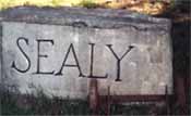 Sealy on stone