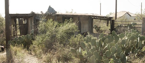 Pumpville TX abandoned building with cactus