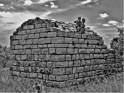 Stiles, Texas - cactus on  ruins