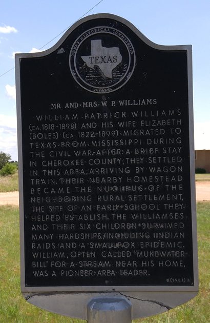 Coleman County Trickham TX Pioneers W.P. Williams Marker 